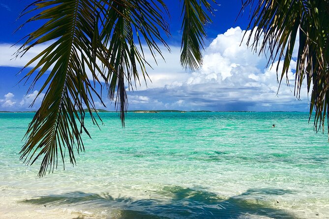 Bimini Day Trip on Cruise With Roundtrip Miami Transfer