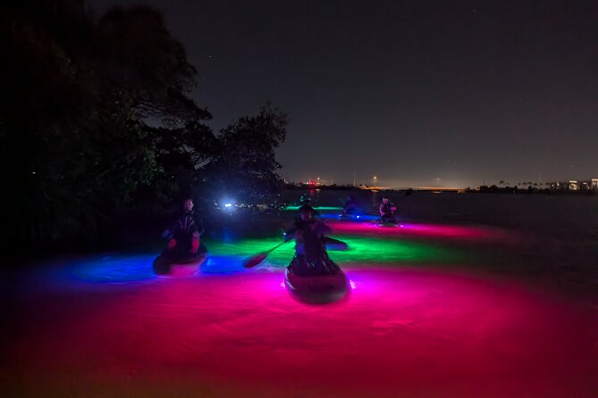 Bioluminescent Comb Jelly & LED Kayak / Paddle Board Excursion - Overview of the Excursion