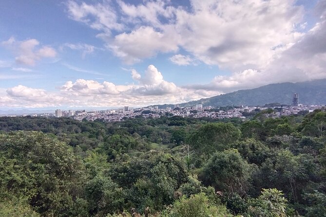Bird-Watching and Nature Reserve Experience in Ibague