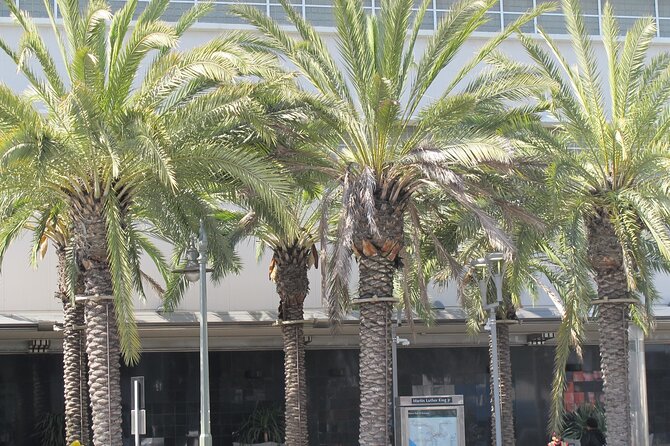 Black History Tours of South LA (Guided Van Tour) - Crenshaw - Tour Overview and Details