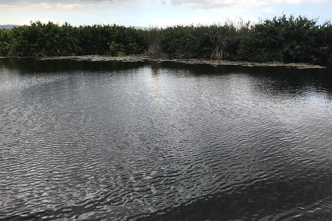 Black River Safari and Appleton Estate Tour