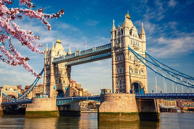 Blue Badge Guided City Tour of London With Minivan for Half Day