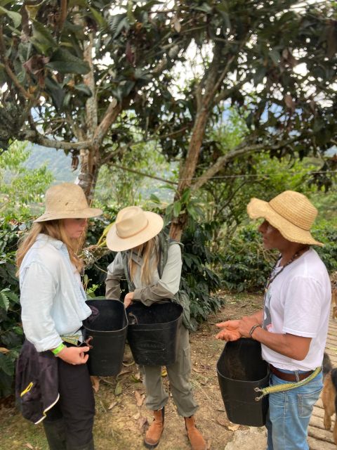 Bogota: Private Coffee Tour in Silvania - Coffee Farm - Tour Overview and Pricing