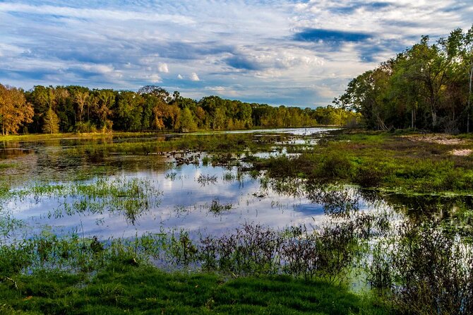 Brazos Bend Wildlife and Nature Tour