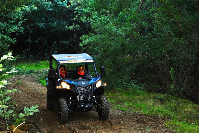 Buggy Experience at Arouca Geopark