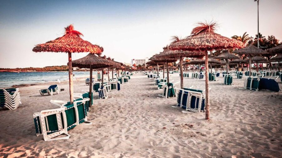 Cala Millor: Magical Creatures of Cala Millor, Family Game