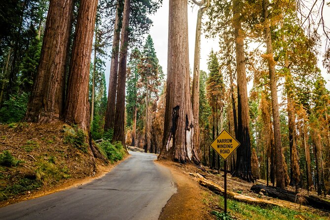 California Parks Highlights Tour San Francisco to Los Angeles