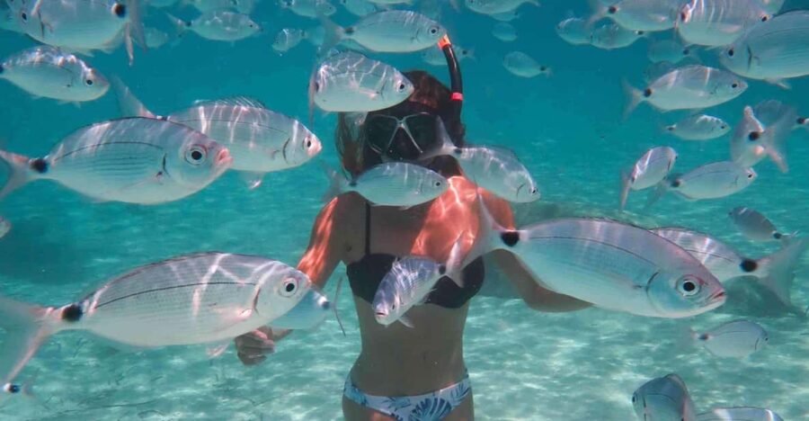 Calvi: Underwater Journey at the Edge of a Natural Reserve