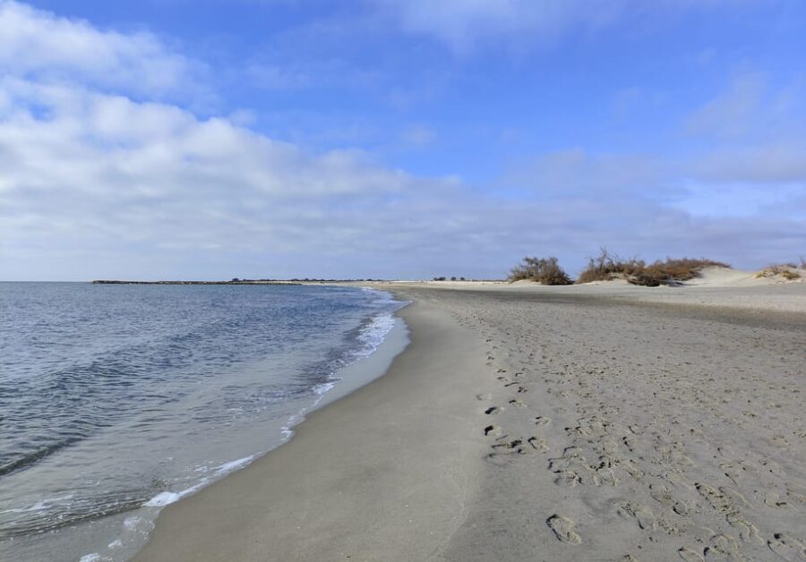 Camargue, Its Secrets and Its Magic: an Exclusive Tour - Discovering the Camargues Unique Landscape