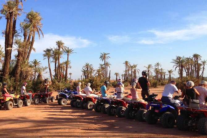Camel Ride and Quad Bike in Palmeraie