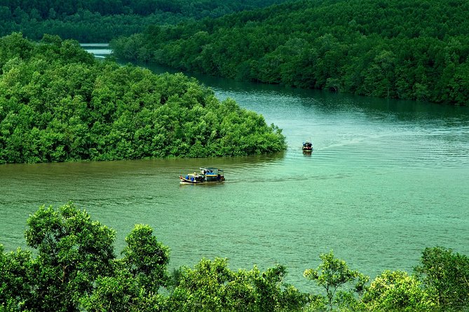 Can Gio Mangrove Biosphere Reserve 1 Day