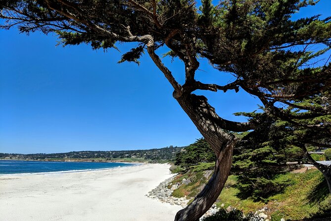 Carmel’s Hidden Gems Discovery Walk & Self-Guided Tour