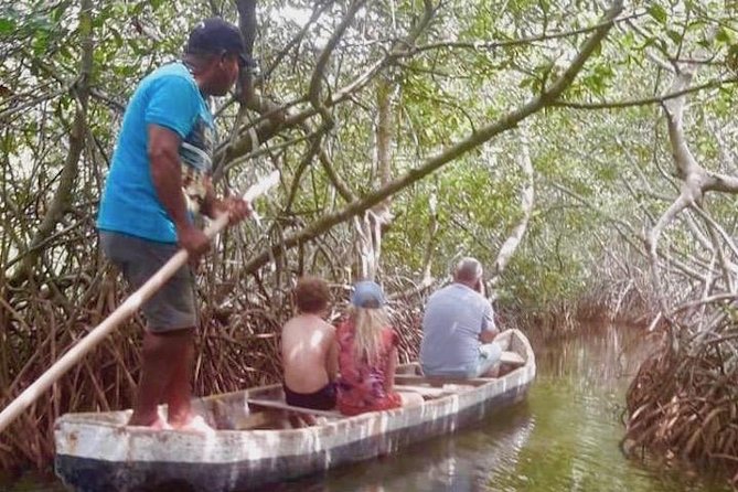 Cartagena Mangrove Tour