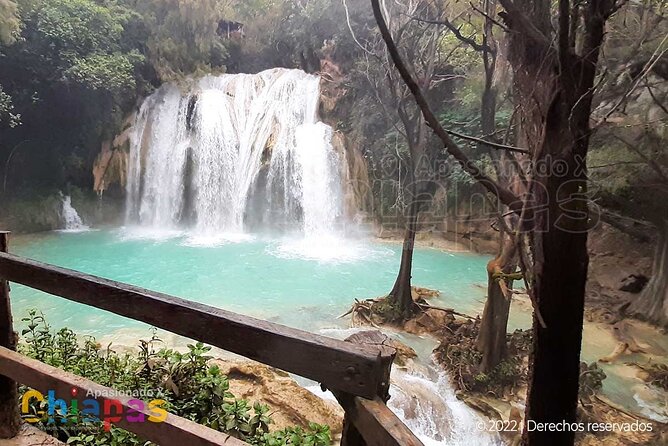 Cascadas El Chiflon (Bridal Veil) and Montebello Lakes From Tuxtla Gutierrez - Overview of the Tour