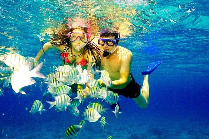 Catalina Island & Snorkell Paradise From Punta Cana
