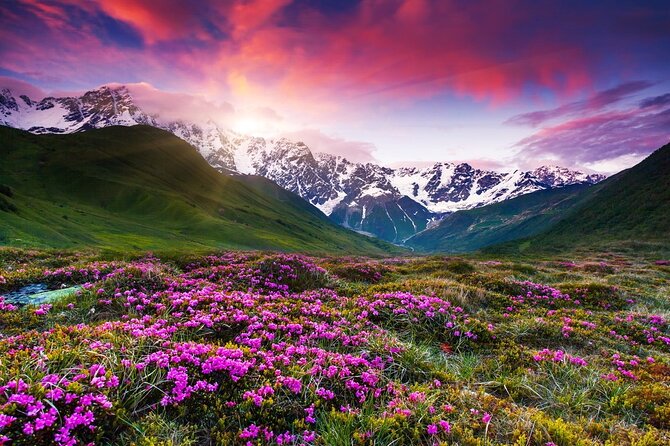 Caucasus Mountains Private Tour : Gudauri - Jinvali - Ananuri - Inclusions and Pickup