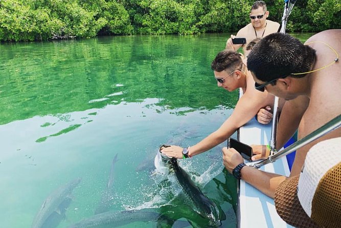 Caye Caulker Split Island Getaway and Tarpon Feeding