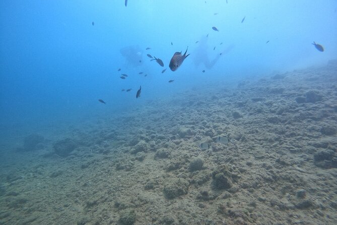 Chania Try Scuba Diving for Beginners