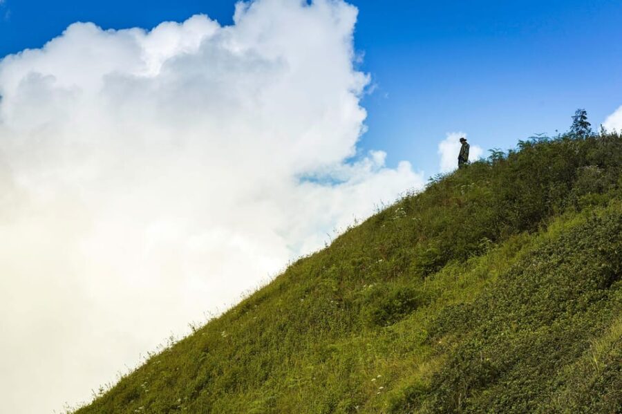 Chiang Mai: Doi Inthanon & Pha Dok Siew Nature Trail Trek