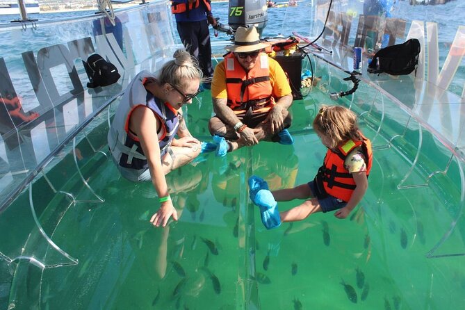 Clear Boat Ride in Los Cabos
