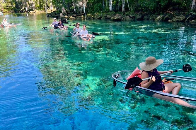 Clear Kayak Spring & Manatee Tour Crystal River With Free Photos - Overview of the Clear Kayak Spring & Manatee Tour