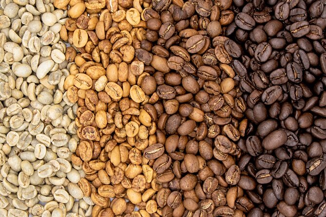 Coffee Plantation Visit and Tasting Activity in Costa Rica