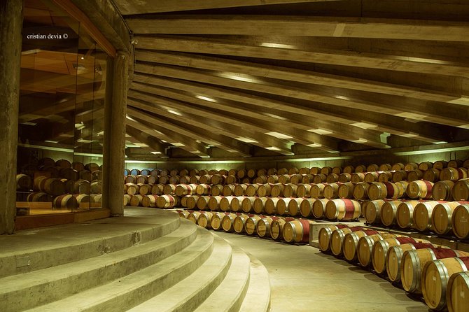 Colchagua Valley Experience