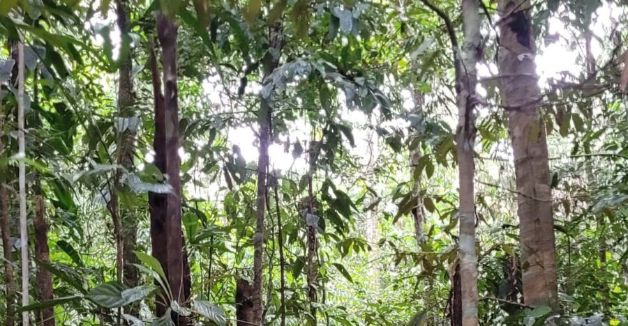 Combo Calderon Amazonas - Tour Overview