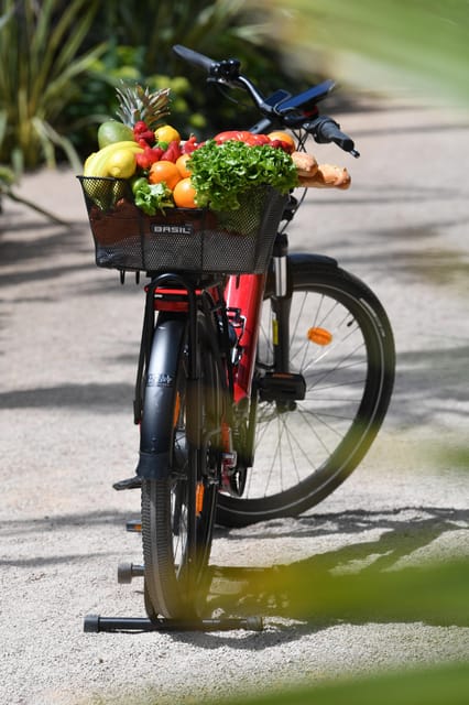 Côte Dazur: E-Bike Rental