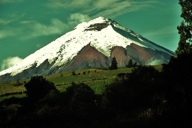 Cotopaxi Volcano (PRIVATE Day Trip)