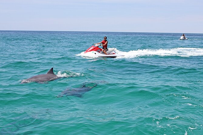 Crab Island Dolphin Jetski Adventure - Overview of the Crab Island Dolphin Jet Ski Adventure