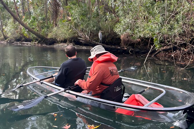 Crystal River Sunset and Glow Kayak Tour Review - Overview of the Crystal River Kayak Experience