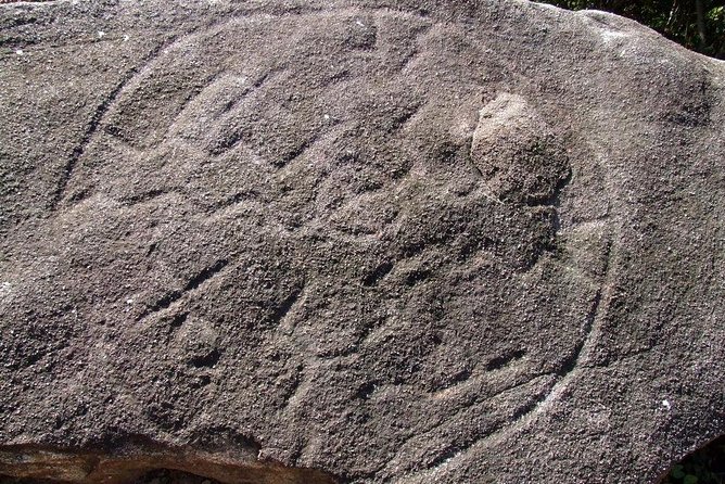 Cultural Palma Sola Petroglyphs City Market Experience With Lunch