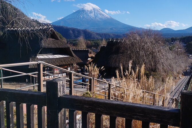 Customisable Mt.Fuji Private Day Trip, English Speaking Driver