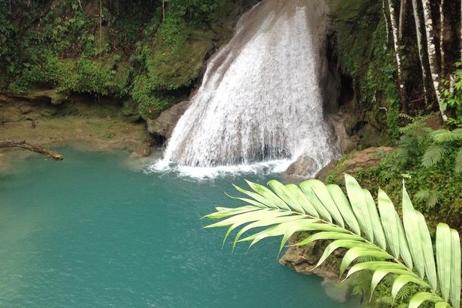 Day Trip to Blue Hole From Montego Bay - What to Expect on the Tour