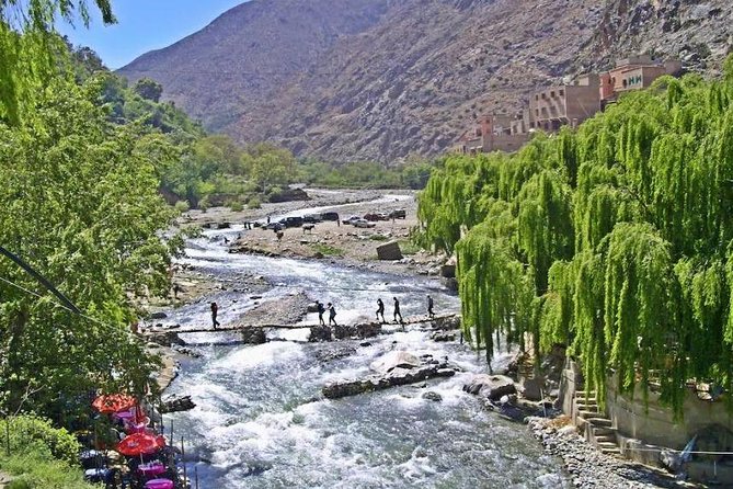 Day Trip To Ourika Valley
