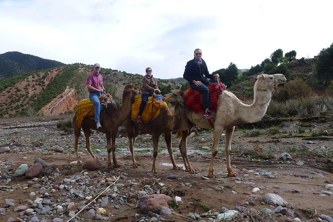 Day Trip to the Atlas Mountains and Berber Villages From Marrakech,