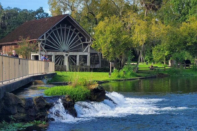 DeLeon Springs River Boat Tour Review