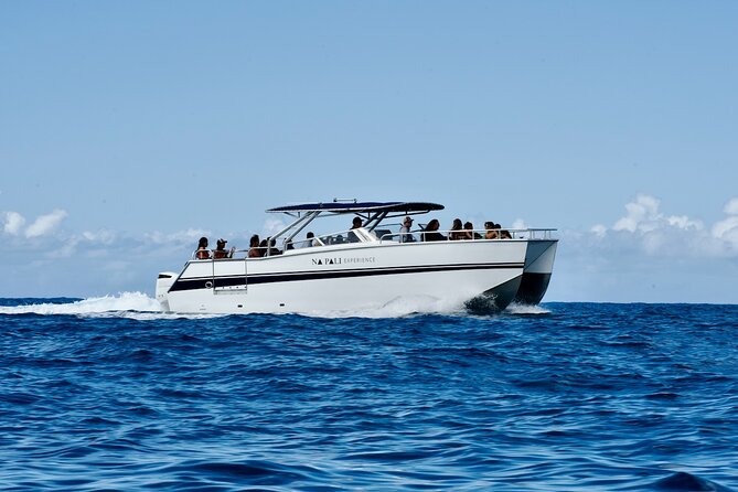 Deluxe Power Catamaran