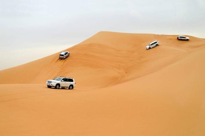 Desert Safari With Camel Ride and Dinner