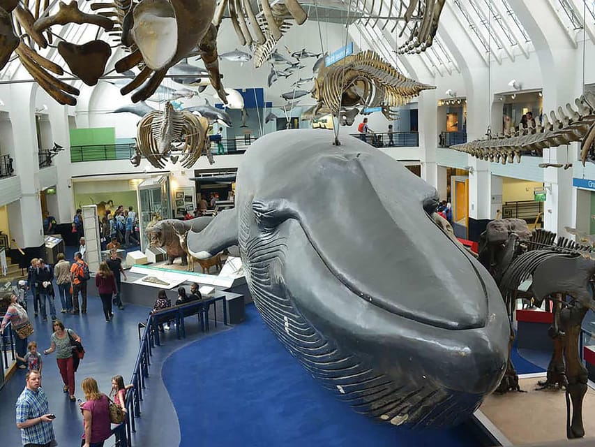 Discover Fossils & Gems at Natural History Museum