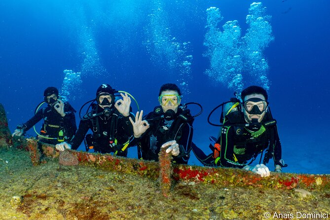 Discover Scuba Diving at Cozumel Marine Park