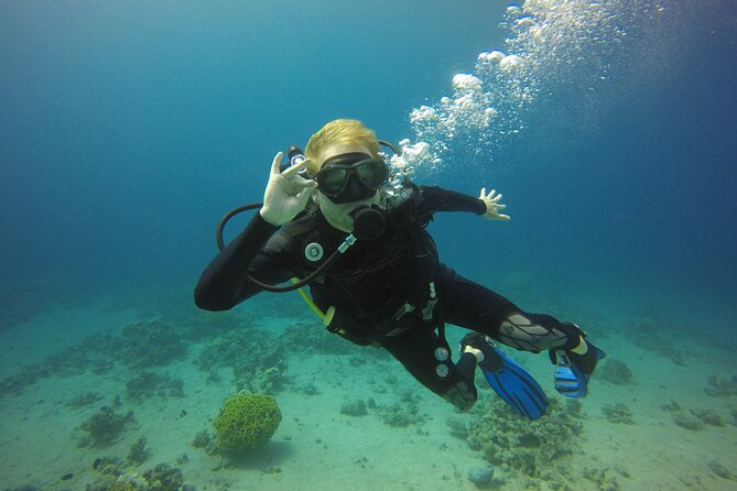 Discover the Depths: Aqabas Ultimate Private Dive Experience - Preparing for the Dive Adventure