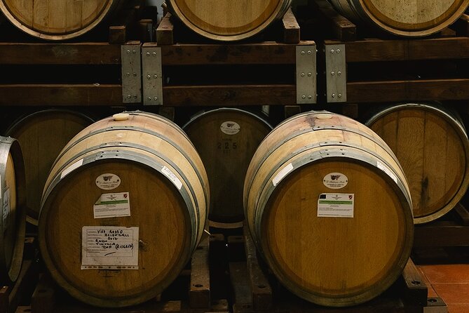 Discover the True Tintilia of Molise, Authentic and Excellent