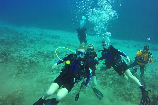 Discovery Scuba in Waikiki Under Water Adventures