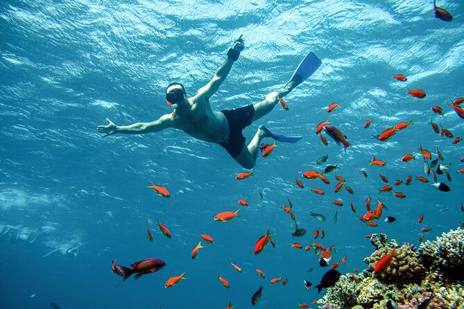 Diving and Visiting Giftun Island With Snorkeling Boat Trip