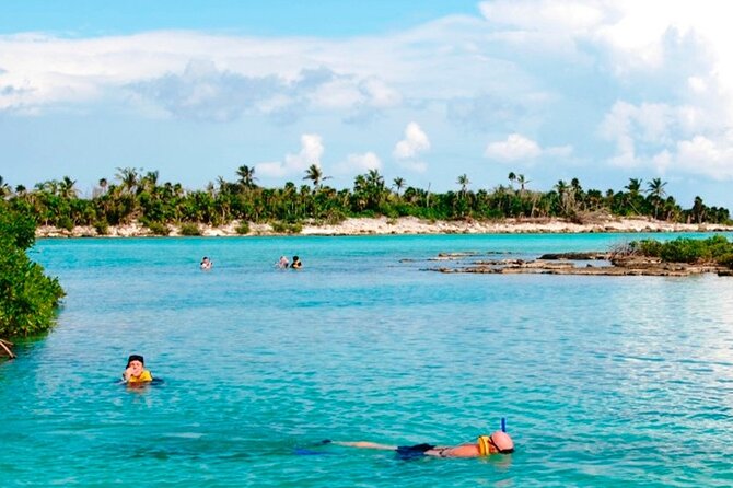 Do It All Tour 2-Snorkeling Lagoon & Cenote-Rappel & Zipline