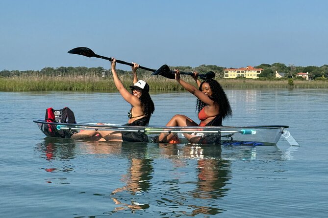 Dolphins and Wildlife Ecotour