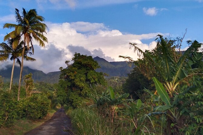Dominica Waitikubuli National Trail -The Caribbean Longest Hiking Trail/17 Days