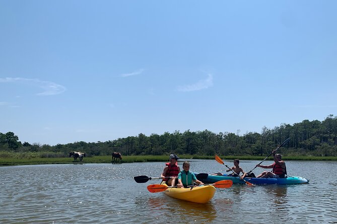 Double Sit on Top Kayak Rental at Assateague Island, MD